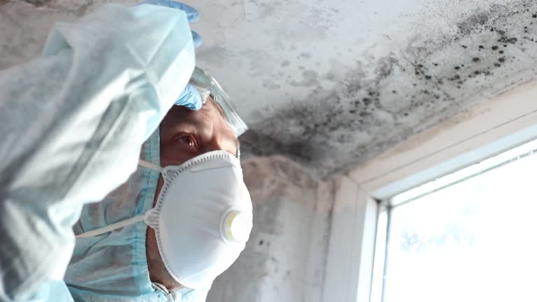 Best Mold Remediation for Healthcare Facilities  in Port Lavaca, TX